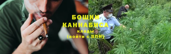 прущая мука Няндома