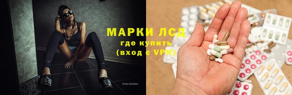 эйфоретик Губаха