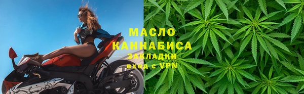 дмт Осташков